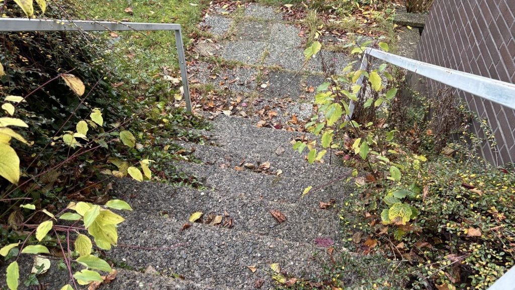 Der Garten des DRK vor unserem Arbeitseinsatz.