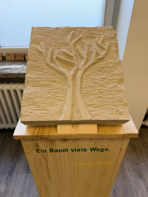 Ein Baum viele Wege. (Domenik Harhues)